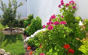 Páteo dos Oliveira - Casa dos Senhores