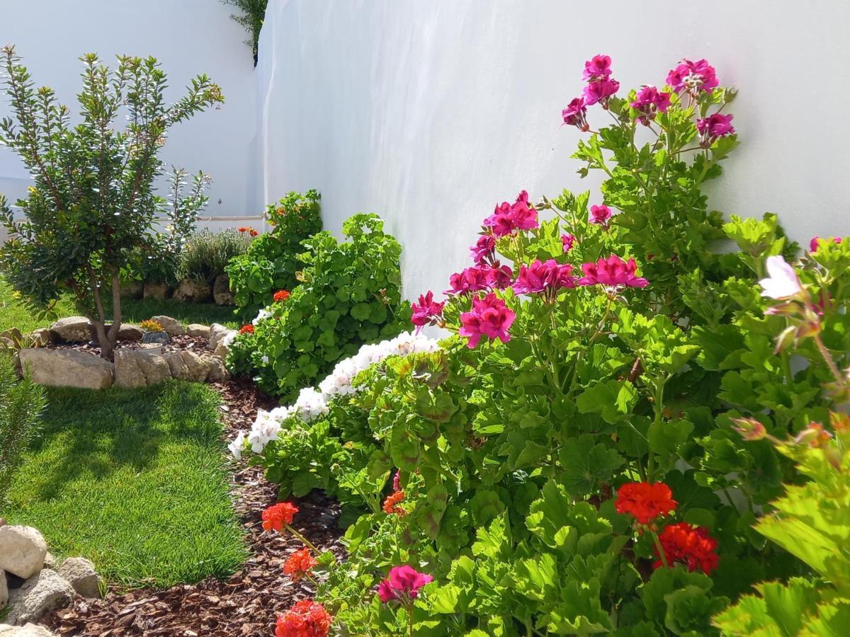 Páteo dos Oliveira - Casa dos Senhores Évora Esterno foto